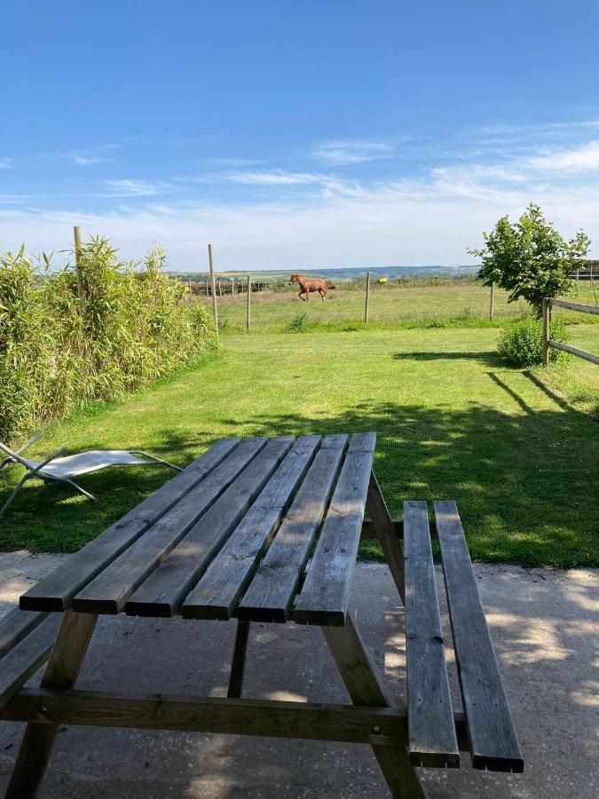 Le Clos De L'Angley Gites Et Ecurie Caffiers 外观 照片