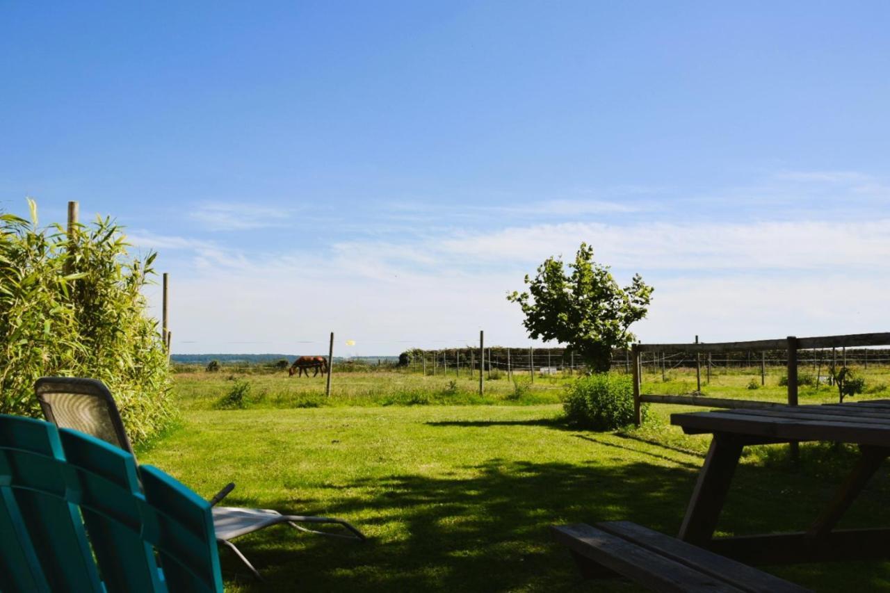 Le Clos De L'Angley Gites Et Ecurie Caffiers 外观 照片