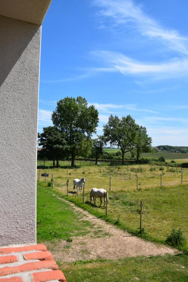 Le Clos De L'Angley Gites Et Ecurie Caffiers 外观 照片