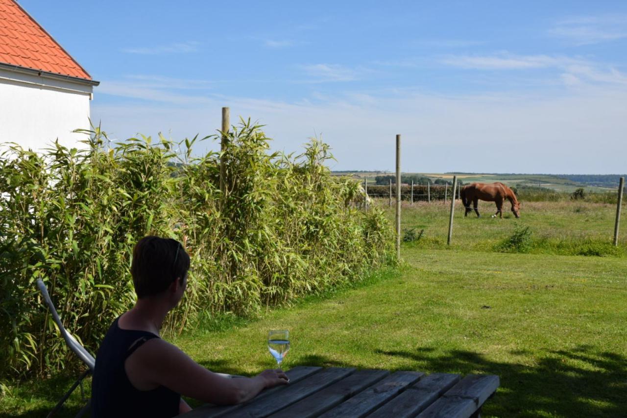 Le Clos De L'Angley Gites Et Ecurie Caffiers 外观 照片