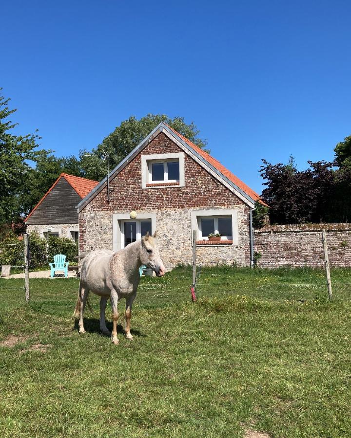 Le Clos De L'Angley Gites Et Ecurie Caffiers 外观 照片