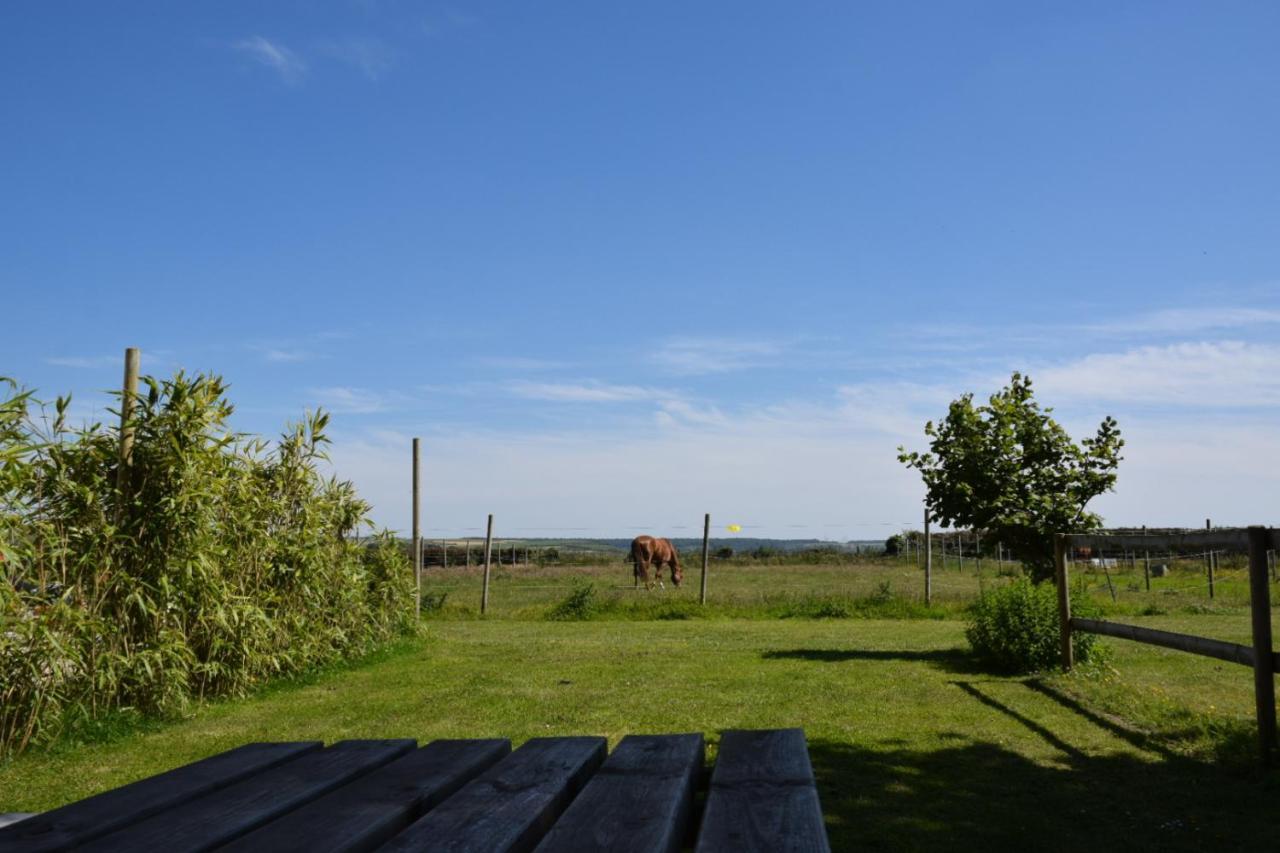 Le Clos De L'Angley Gites Et Ecurie Caffiers 外观 照片
